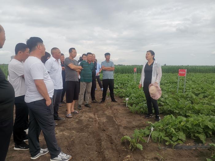 d50bf5787030393ca3958645a75bc8c d50bf5787030393ca3958645a75bc8c