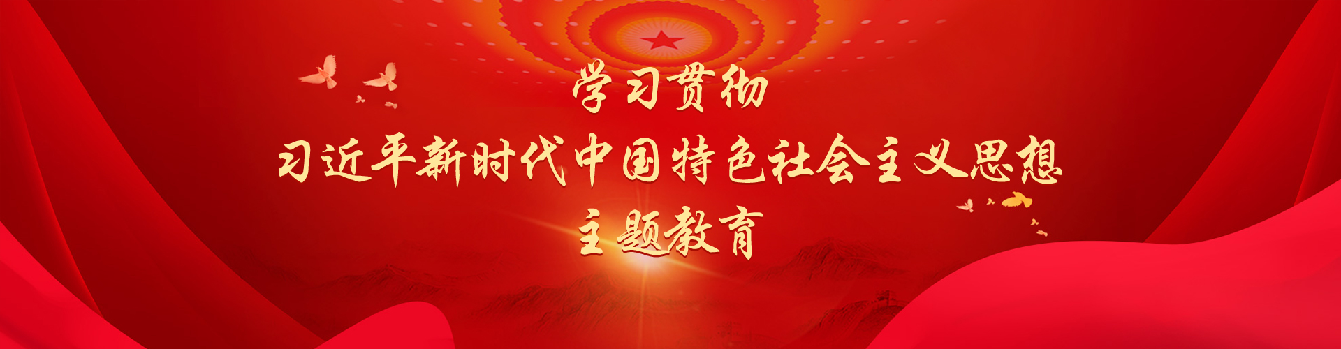 学习贯彻习近平新时代中国特色社会主义思想主题教育