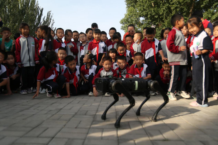 图片4