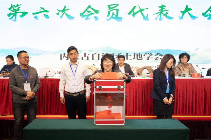 图片6