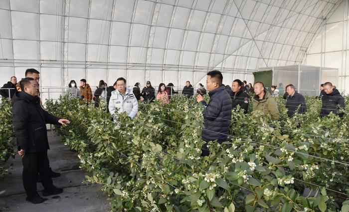 微信图片_20251205154923 微信图片_20251205154923