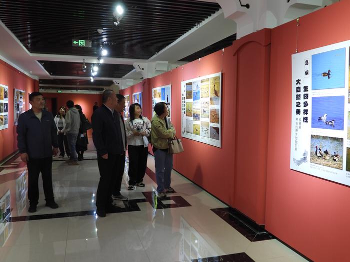 微信图片_20260616155020_16_56 微信图片_20260616155020_16_56