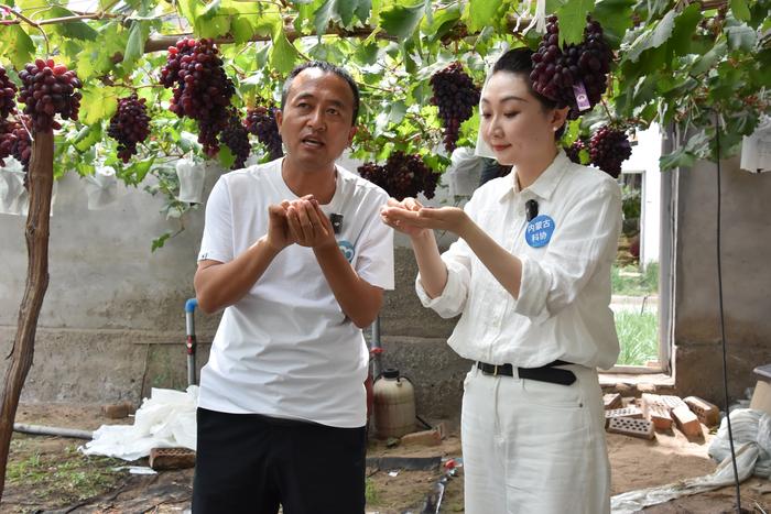 微信图片_20260708151100 微信图片_20260708151100