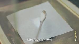 刘占英——发酵罐里写春秋
