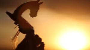 致敬科技之光——祝全区科技工作者节日快乐！