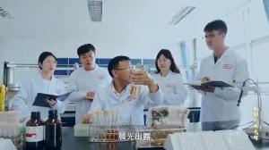 陈永福——乳香育人路 菌海报国心